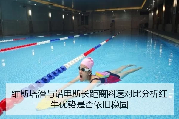 维斯塔潘与诺里斯长距离圈速对比分析红牛优势是否依旧稳固