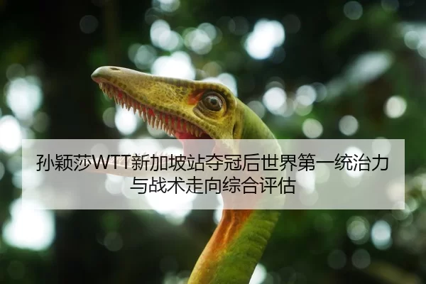 孙颖莎WTT新加坡站夺冠后世界第一统治力与战术走向综合评估