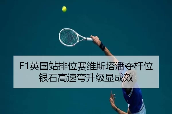 ying-guo-zhan-pai-wei-sai-wei-si-ta-pan-duo-gan-wei-yin-shi-gao-su-wan-sheng-ji-xian-cheng-xiao-3-402.jpg
